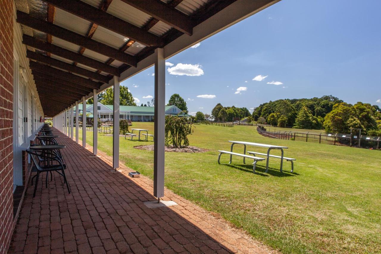 Motel Lookout Mountain Retreat Dorrigo Exterior foto